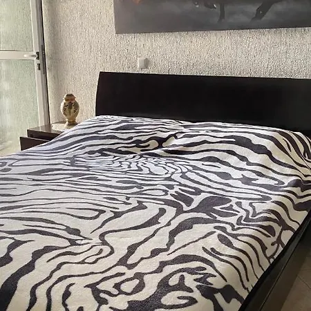 Apartment Elanza Sarande